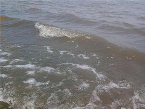 上海海滩吃瓜视频