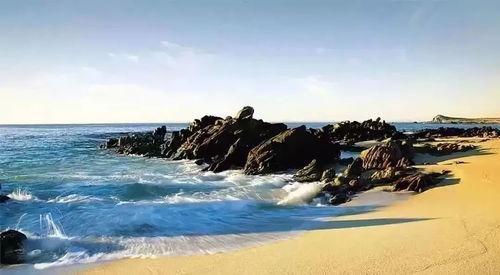 上海海滩吃瓜视频