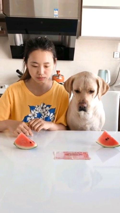 吃瓜比赛视频网站大全最新,揭秘最新吃瓜比赛视频网站大全