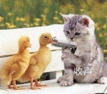 劝大家不要看吃瓜的视频,守护心灵净土