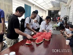 吃瓜群众的感动视频图片,感动瞬间，吃瓜群众共鉴人间真情