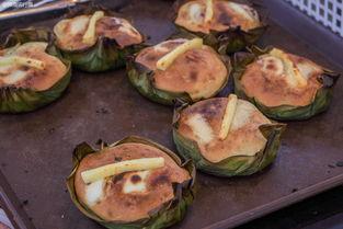 海绵吃瓜菲律宾视频,一场网络狂欢背后的真相