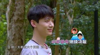 白敬亭吃瓜群众视频下载,揭秘明星幕后趣事