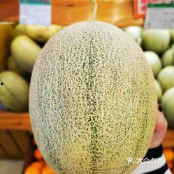 沙漠吃蜜瓜视频,蜜瓜在沙漠中的甜蜜奇迹