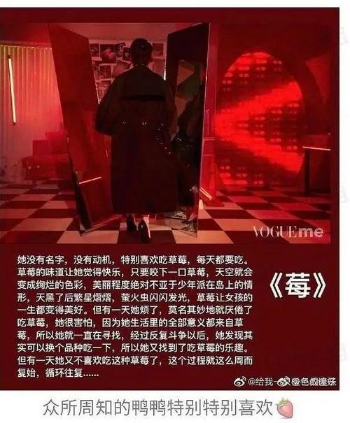 吃瓜曝光黑粉视频,吃瓜曝光背后的真相与反思