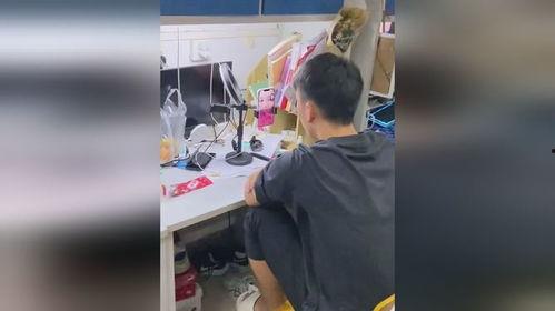 男子吃瓜尴尬视频,网友直呼“太真实”