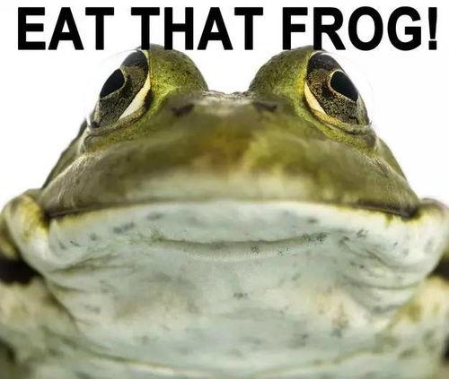 吃瓜的青蛙原视频,揭秘幕后真相，带你领略网络热点的魅力