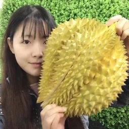 丁山韩佳妮视频吃瓜,揭秘娱乐圈幕后真相