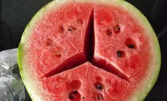 吃瓜萌主视频切片,揭秘幕后故事，带你领略趣味生活