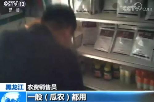 吃瓜视频爆料观看,娱乐圈最新爆料大揭秘