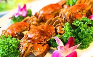 瓜妞吃手撕蟹柳视频大全,美味蟹柳轻松学