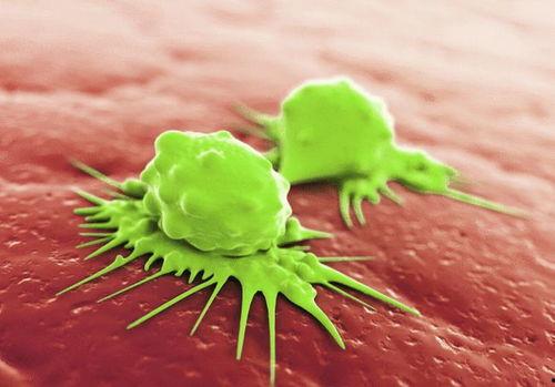 可以吃一天的零嘴瓜吗视频,揭秘能否仅靠零嘴瓜度过一日