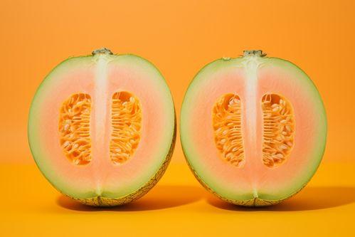 猪吃蜜瓜视频大全下载,萌宠美食盛宴，欢乐瞬间尽收眼底