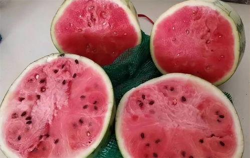 麒麟瓜吃胖不胖呀视频,吃它真的会发胖吗？