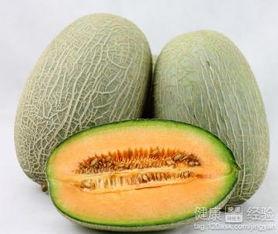 吃巨大哈密瓜视频,一睹巨型哈密瓜的震撼风采