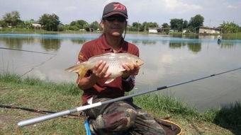 吃瓜发视频钓鱼,警惕网络诈骗！