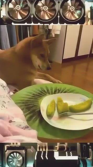 吃瓜内涵视频在线观看免费,热门内涵视频在线观看攻略