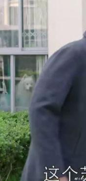 韩剧吃瓜群众吵架视频播放,网络热议不断