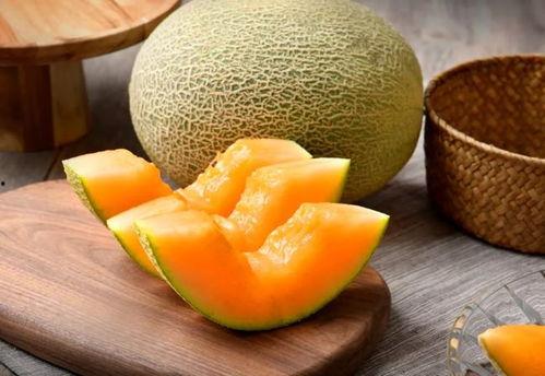 猴子吃冰哈密瓜视频,趣味食趣萌态十足