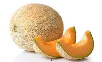 猴子吃冰哈密瓜视频,趣味食趣萌态十足