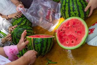 世茂吃瓜视频在哪看,揭秘热门视频观看途径