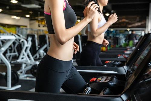 名人健身房吃瓜视频大全,吃瓜视频大全背后的健身秘籍与明星风采