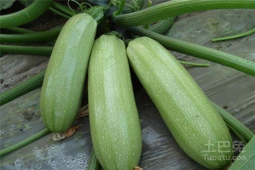 八卦吃瓜模板制作视频,揭秘娱乐圈幕后故事，带你领略明星们的真实生活