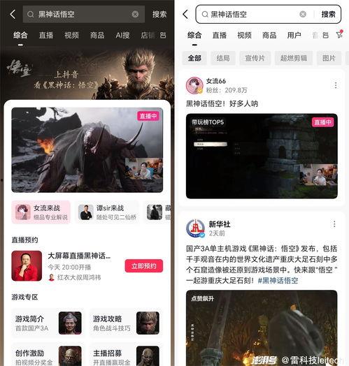 吃瓜小视频 没有搜索,背后真相与现象分析