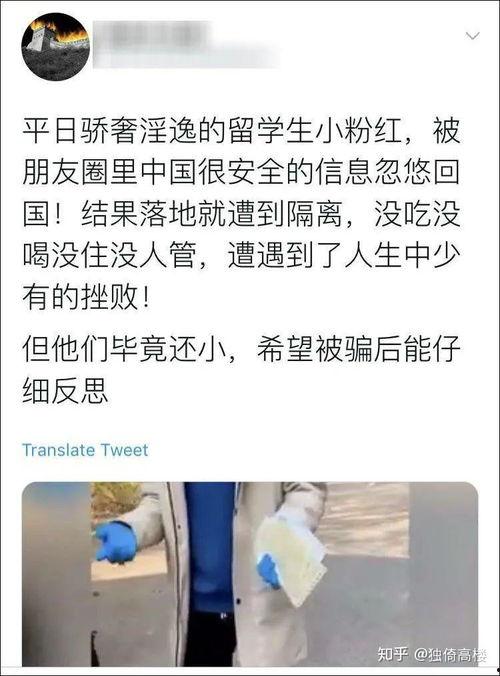 侯集吃瓜事件始末视频,一场网络热议的始末揭秘