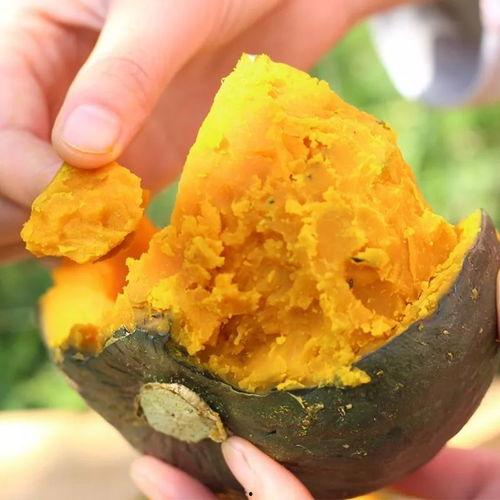 小瓜能天天吃吗有毒吗视频,小瓜天天吃安全吗？揭秘其潜在毒性