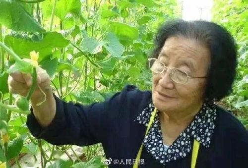 中华民族吃瓜事件视频,一场别开生面的“吃瓜”盛宴