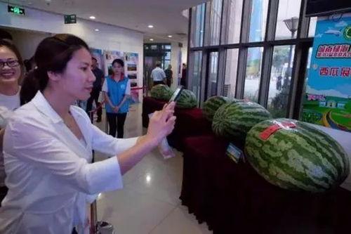 任县吃瓜新闻报道视频,揭秘当地热门事件背后的真相