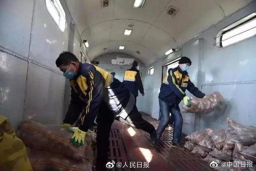 内蒙医院吃瓜事件视频曝光,视频曝光引发公众热议