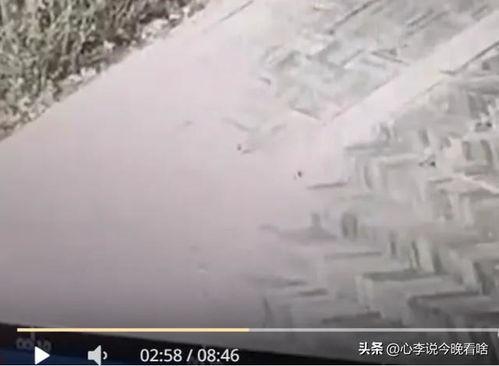 暴力吃瓜视频完整版,完整版视频深度解析