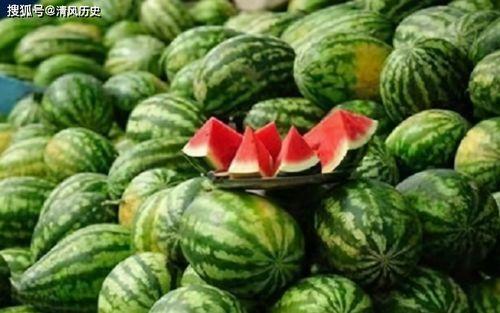 吃路边的野瓜能吃吗视频,野瓜美味还是隐患？揭秘路边野瓜的安全性