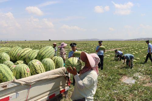吃瓜群众反诈视频播放,吃瓜群众如何识破骗局