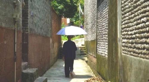 一个吃瓜游客的故事视频,一位游客的神秘吃瓜之旅揭秘