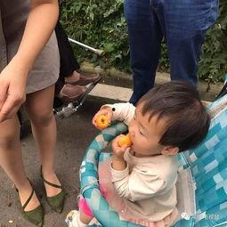 一个吃瓜游客的故事视频,一位游客的神秘吃瓜之旅揭秘