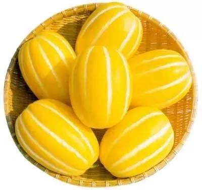 闻到香味吃瓜视频,跟随视频感受美味瓜果的魅力