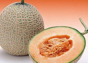 鱼儿吃哈密瓜视频播放下载,奇趣视频播放下载指南