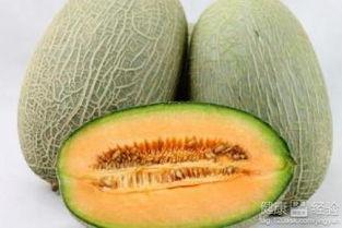 鱼儿吃哈密瓜视频播放下载,奇趣视频播放下载指南