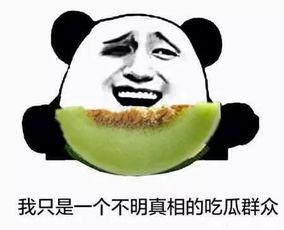 朝阳群众吃瓜 蘑菇视频,吃瓜神器蘑菇视频，带你领略网络新风尚