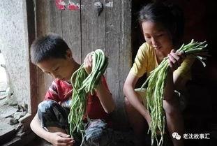 河南姐弟吃瓜视频大全集