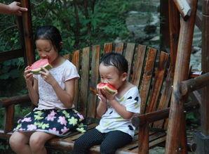 河南姐弟吃瓜视频大全集