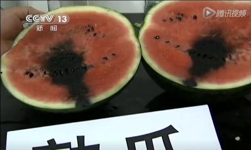 安心最新吃瓜视频大全免费观看