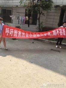 吃瓜打群架视频