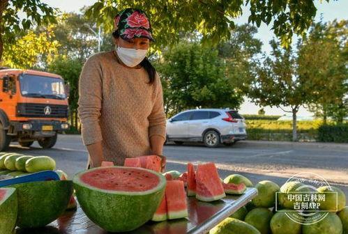 吃黑水瓜视频,视频揭秘其独特魅力与食用方法