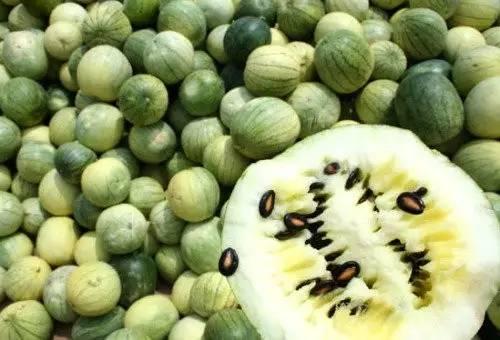 西北籽瓜怎么吃最好吃视频,西北籽瓜美味食法大揭秘