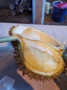 爱可可酒店视频吃瓜图片