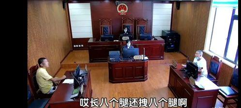 东北庭审法官吃瓜视频,网络热议背后的法庭奇观